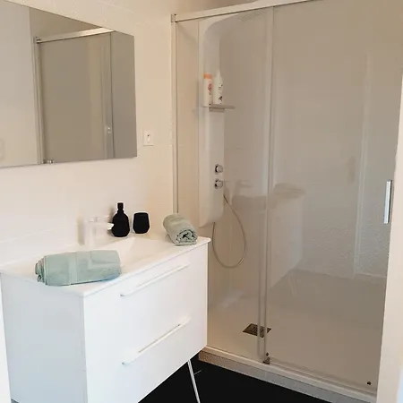 Privee Au Pied Des Vosges Entree Et Terrasse Privatives, Proche Gare Et Centre-ville Remiremont